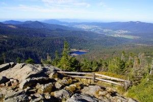 Der Bayerische Wald ist ein beliebtes Ausflugsziel von Bad Birnbach aus.