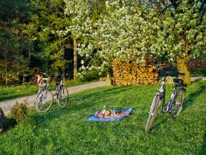 Picknick während einer Radtour durch Bad Birnbach.