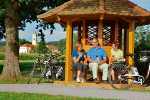 Mit dem E-bike bei einer Radtour Bad Birnbach erkunden.