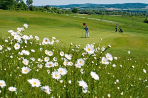 Gäste spielen Golf auf dem Bella Vista Golfpark in Bad Birnbach.